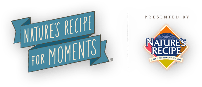 Recipe_For_Moments_Logo_400x173