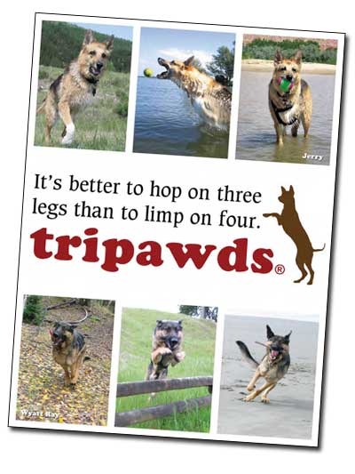 Tripawds Three Legged Dog Photo Book