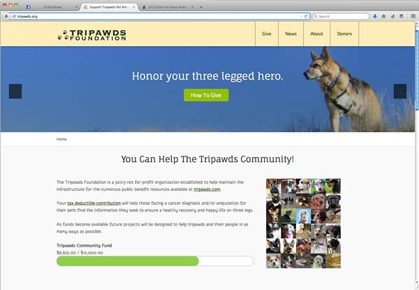 tripawds foundation blog