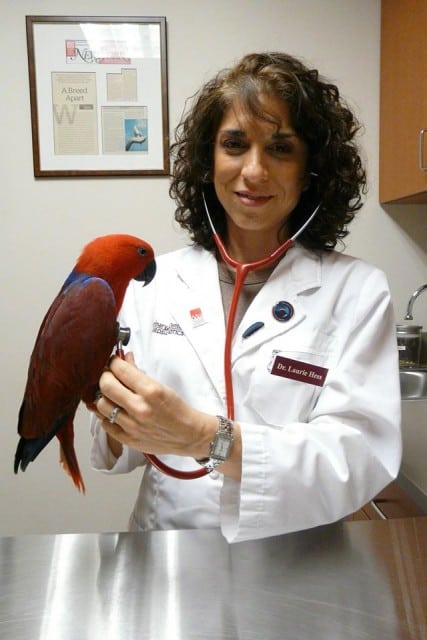 Dr. Lori Hess, exotics animal vet
