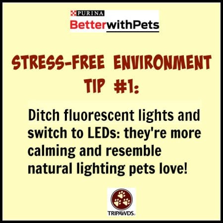 Purina #BetterWithPets Tip