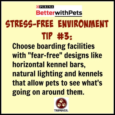 Purina #BetterWithPets Tips