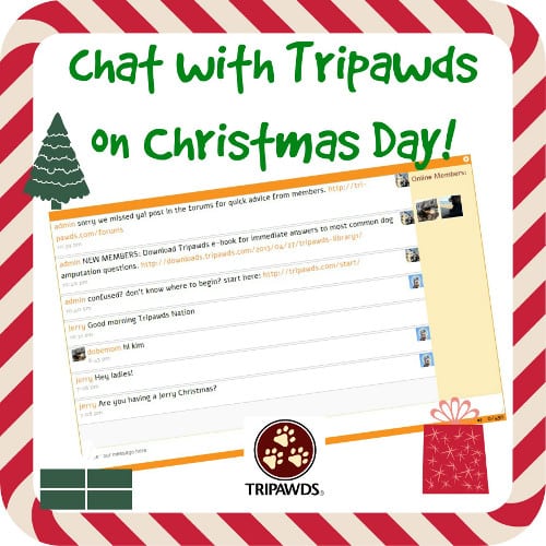 Tripawds Christmas Chat