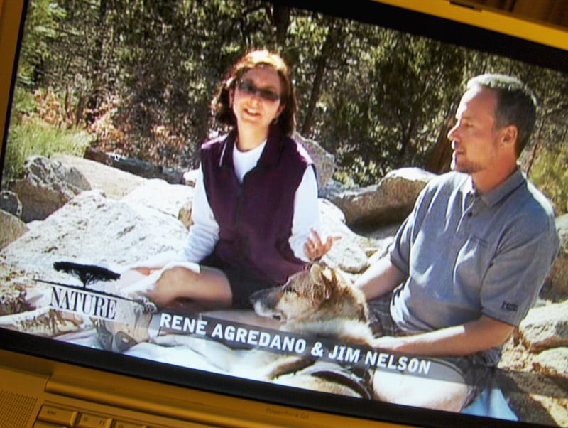 Jim, Rene and Jerry in Why We Love Cats and Dogs on Nature