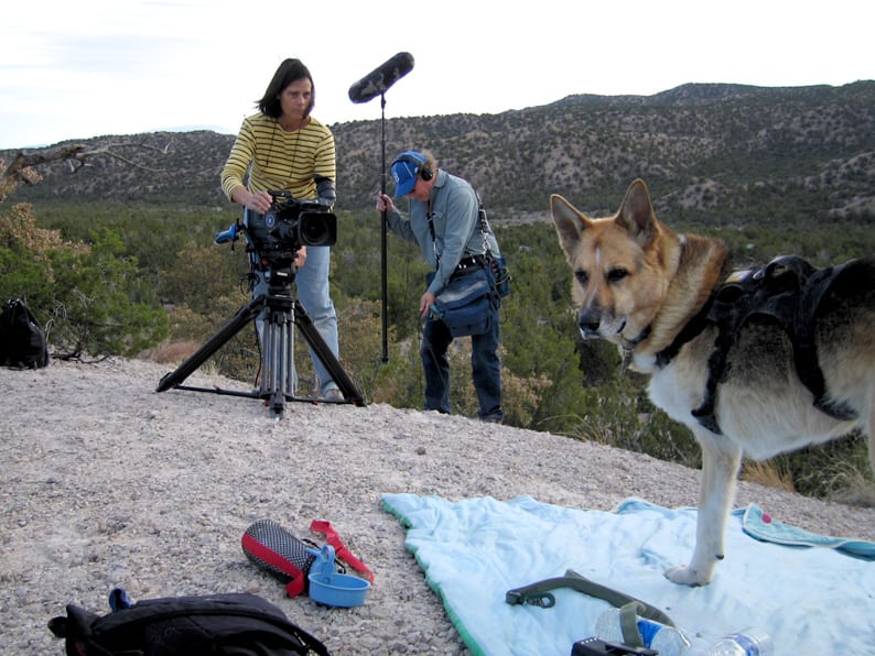 Filming Jerry for PBS Nature Series Show Why We Love Cats and Dogs
