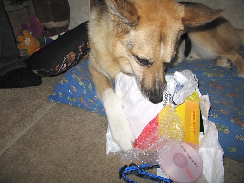 Jerry uses his one paw to open a gift from Lalla