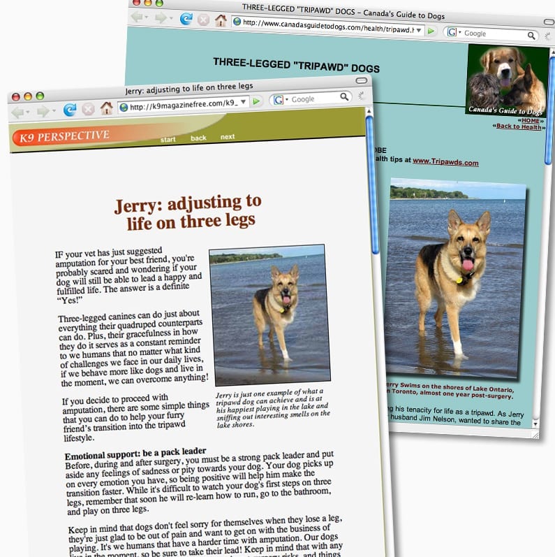 Websites Featuring Three Legged Dogs