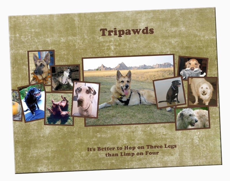 Jerry's first book of Tripawds