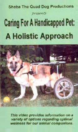 Holistic Caring For Handicapped Pets Video