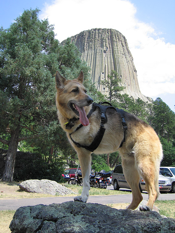 Jerry Poses at Devil's Tower