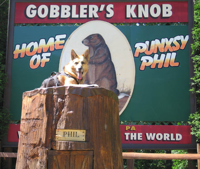 Gobbler's Knob, Punxsutawney Pennsylvania