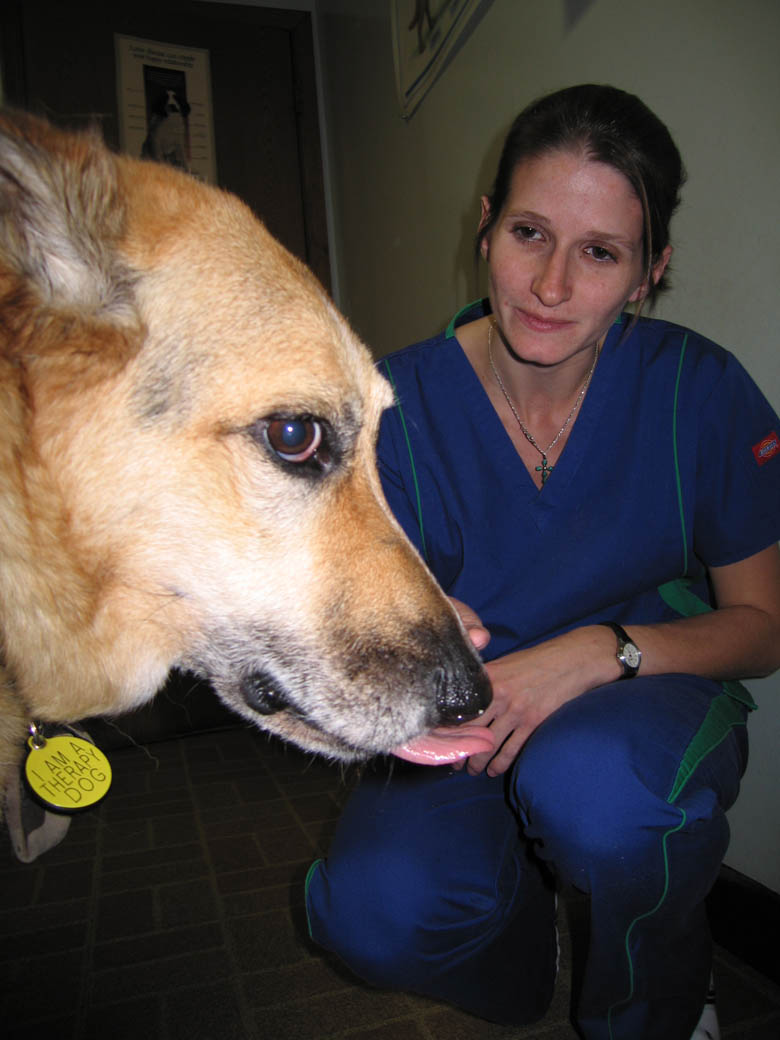 Jerry Getting Canine Health Certificate in Pennsylvania