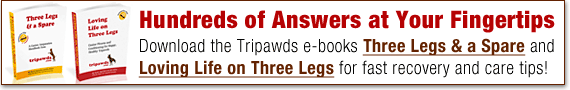 find fast answers in tripawds ebooks