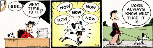 MUTTS Now Comic Strip 