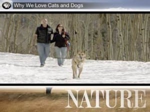 Watch Tripawds on PBS Nature