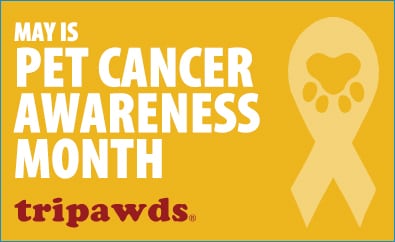 Tripawds, pet cancer, That Pet Place, fundraising, awareness