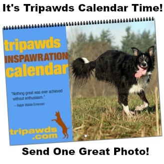 Tripawds calendar