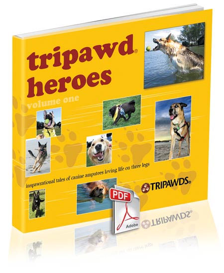 Tripawd Heroes E-book