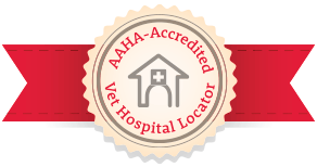 #AAHADay, AAHA-accredited clinics, AAHA-accreditation, AAHA veterinary clinics, quality veterinary care, best vets