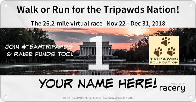 Racery Run for Tripawds Foundation