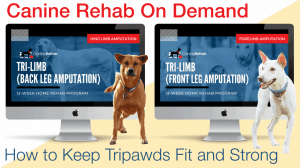 Tripawds home exercise program