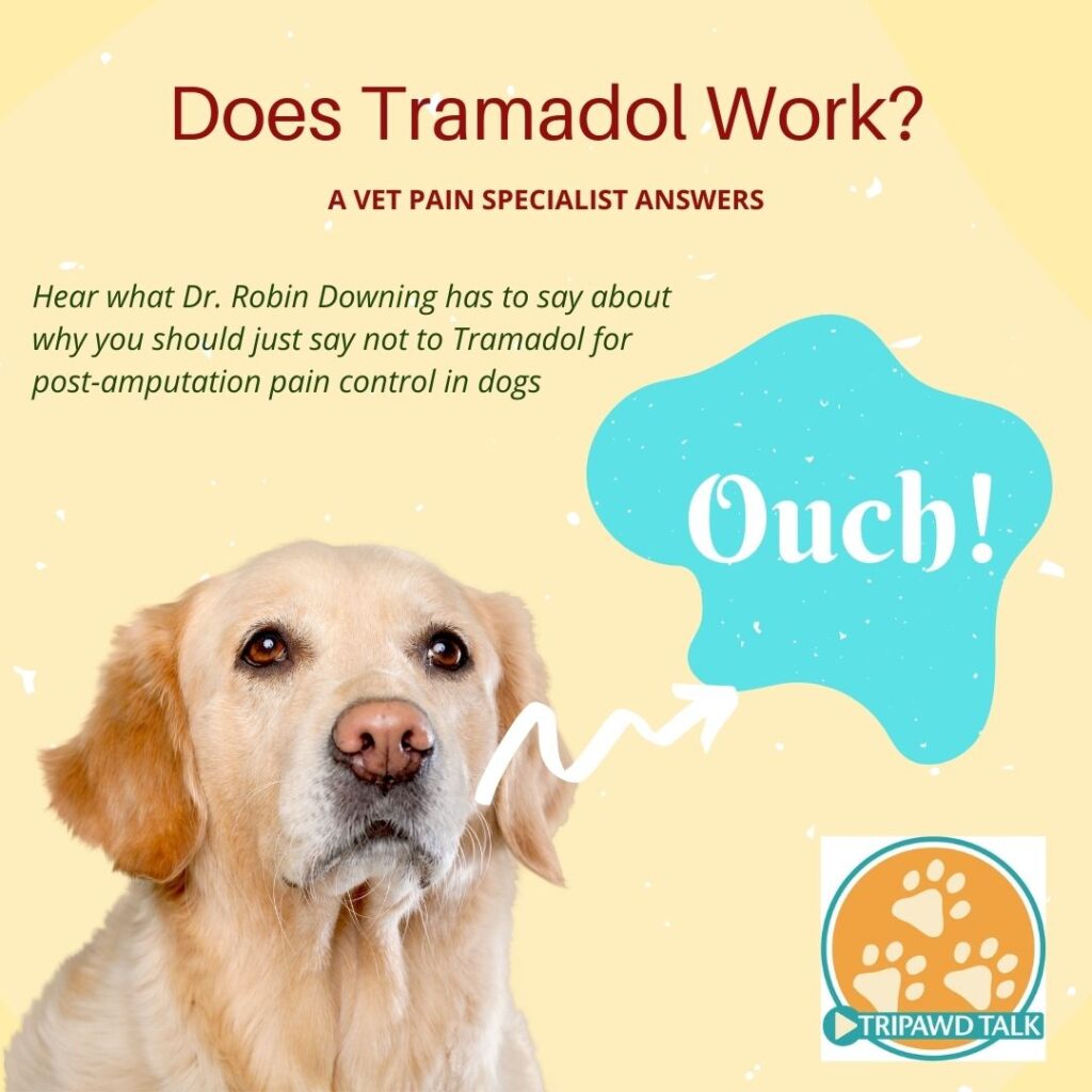 Does Tramadol help dogs