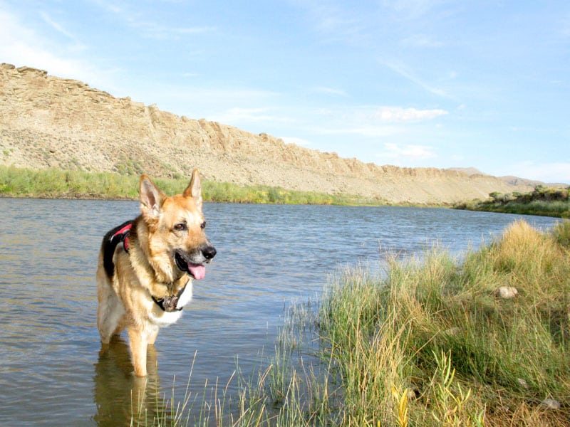 Jerry enjoys camping along the S. Platte River