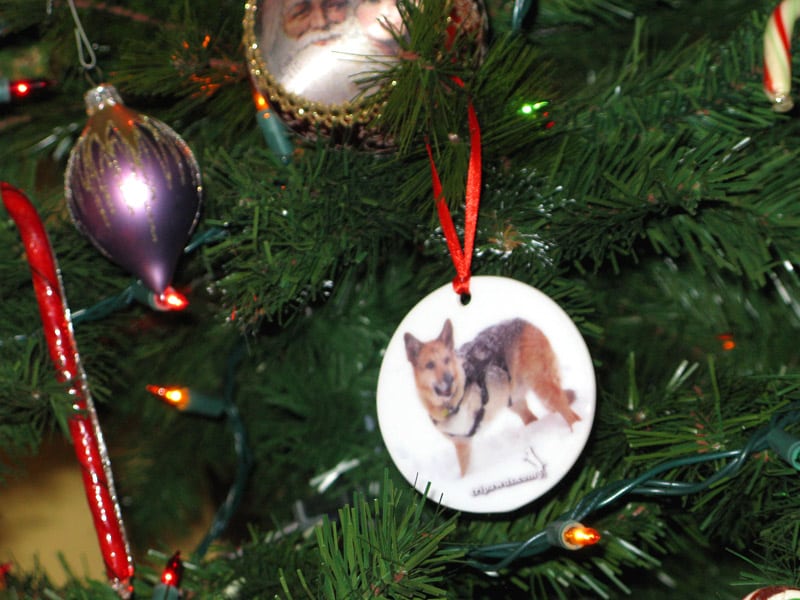 Celebrate Jerry with Ornaments, Calendars, Posters, T-Shirts