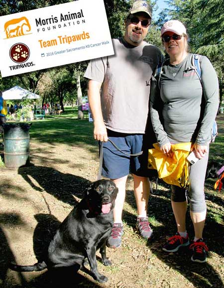 pet cancer fight, tripawd, amputee, bone cancer, morris animal foundation