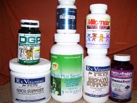 Supplements for Bone cancer husky dog Buster