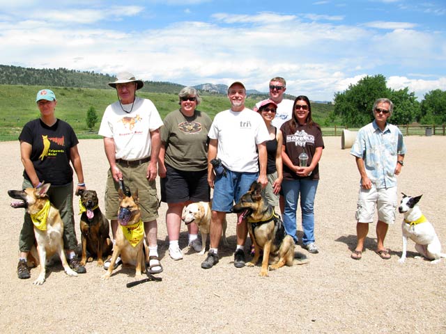 Three Legged Dogs at Colorado Tripawds Party